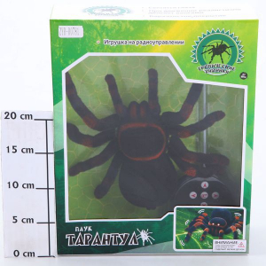 Паук Тарантул